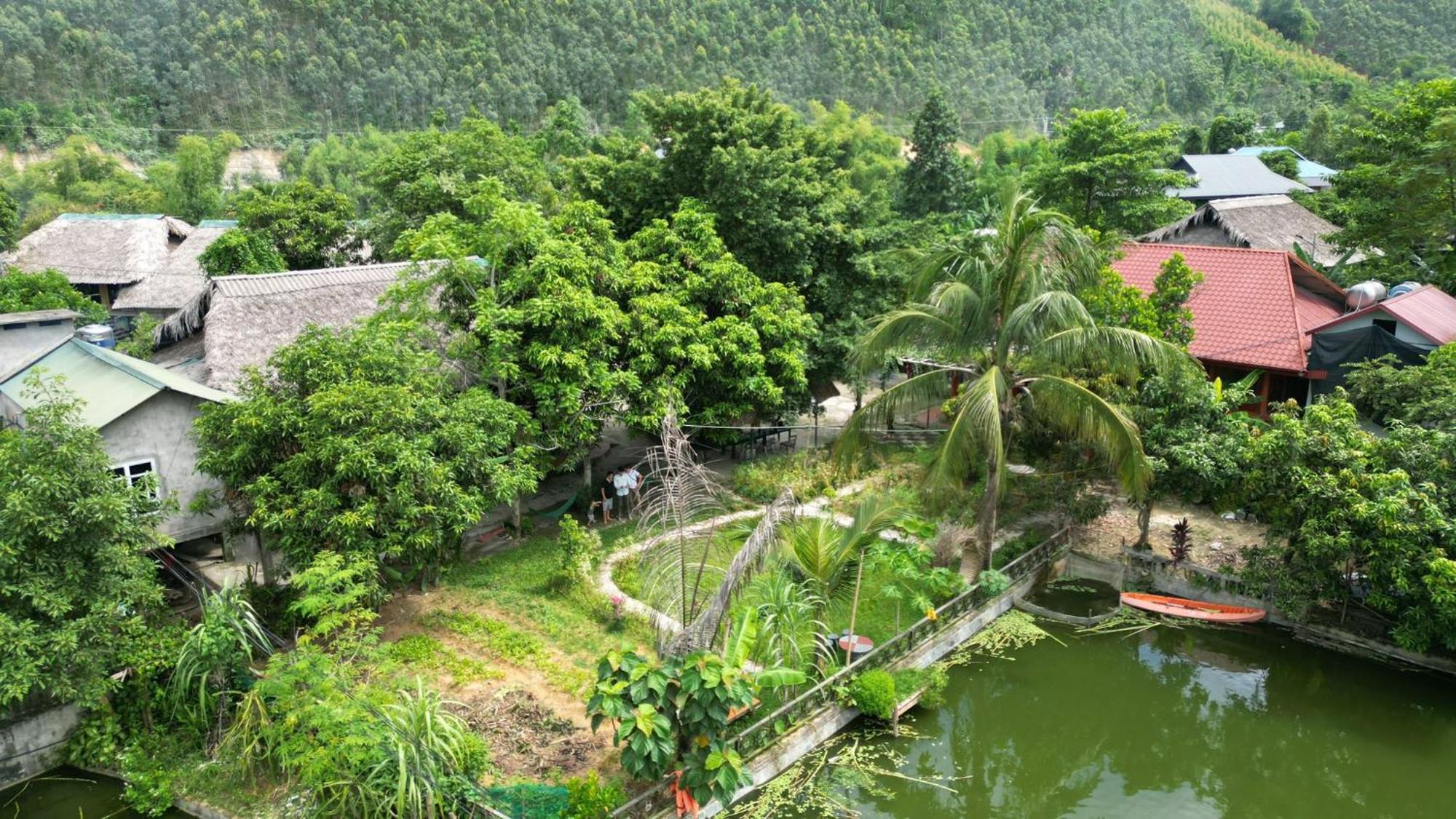 Vu Linh Homestay
