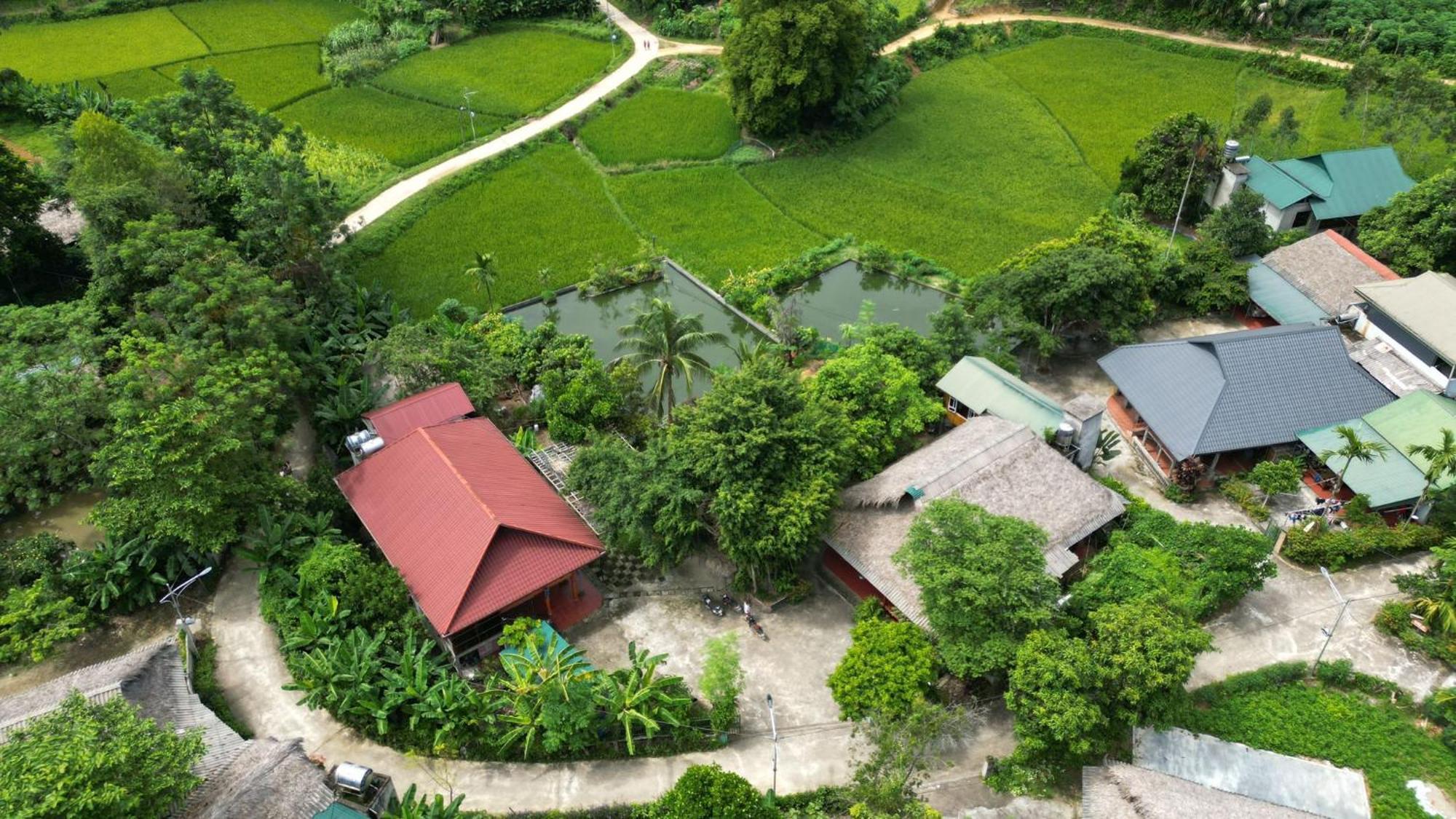 Homestay Vu Linh Homestay Vu Linh
