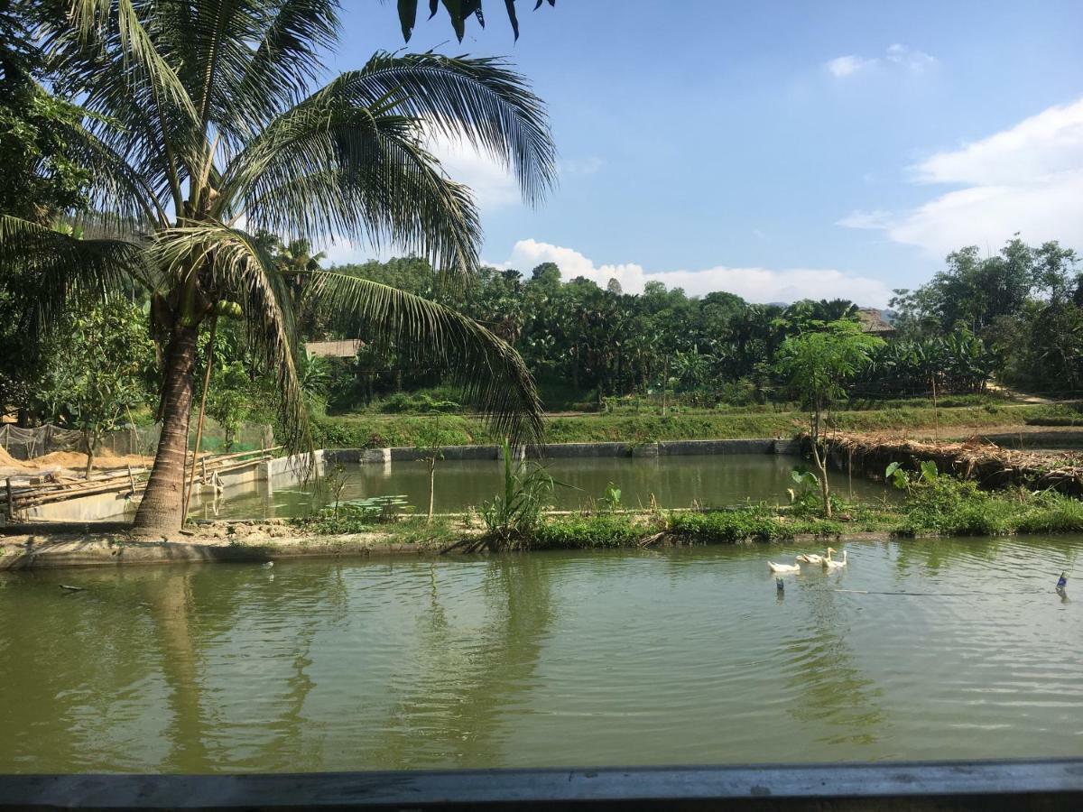 Vu Linh Homestay